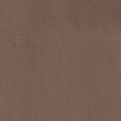 Md Beige