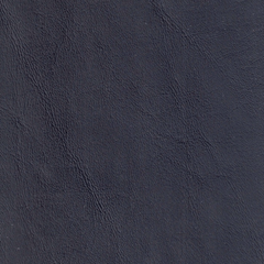 Regimental Blue
