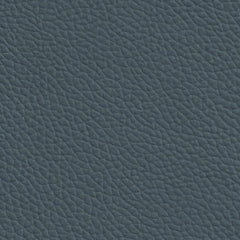 Longitude-Dk. Titanium