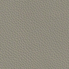 Longitude-Lt. Cashmere