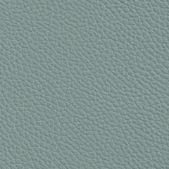 Longitude-Lt. Titanium