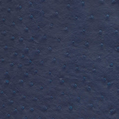 Perth Vinyl-Blue