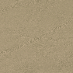 Lt Sand