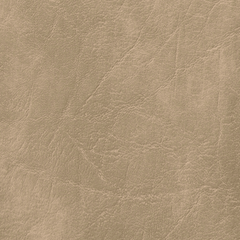 Parchment