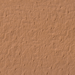 Factory Direct Fabrics