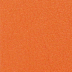 Circuit-Orange