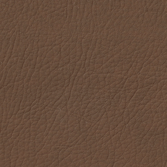 Cinnamon