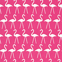 Flamingo-Candy Pink