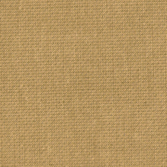 Cornsilk