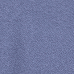 Bluette